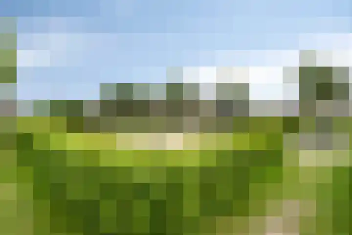 Grote Loef 33 Malden thumbnail 40