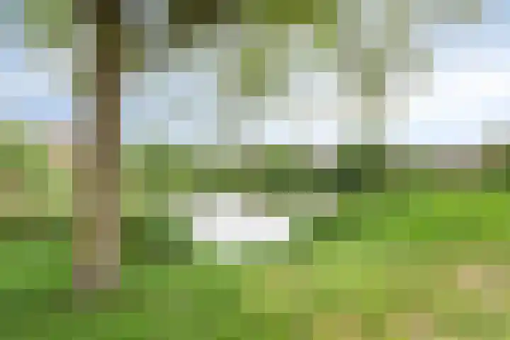 Grote Loef 33 Malden thumbnail 41