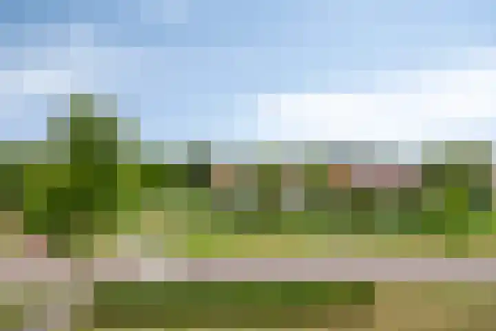 Grote Loef 36 Malden thumbnail 21