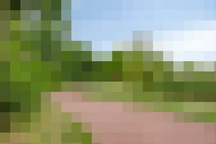 Grote Loef 36 Malden thumbnail 34