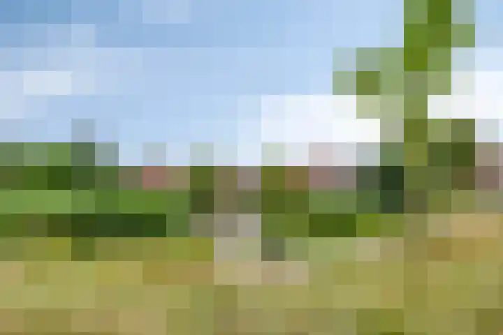 Grote Loef 36 Malden thumbnail 35