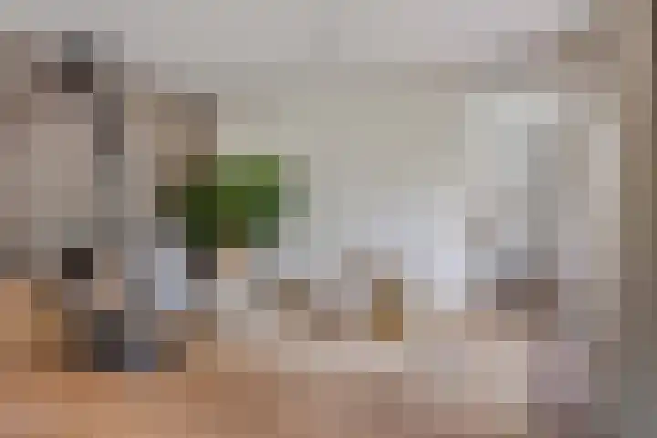 Grote Loef 7 Malden thumbnail 13