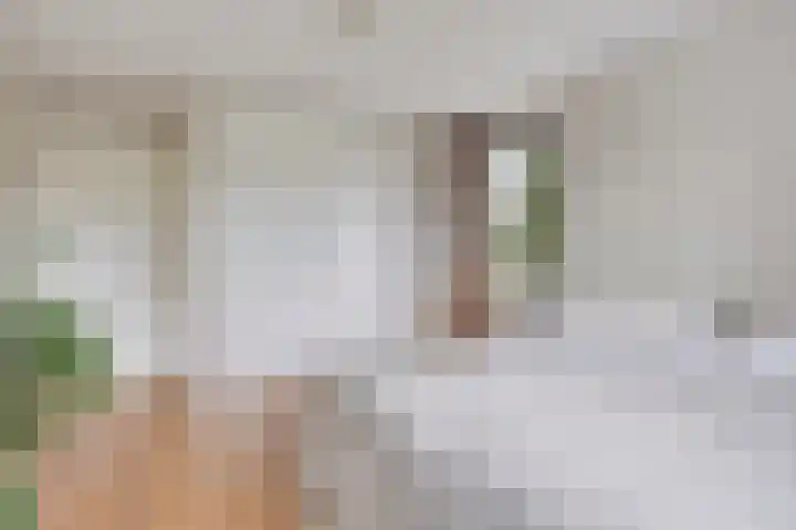 Grote Loef 7 Malden thumbnail 26