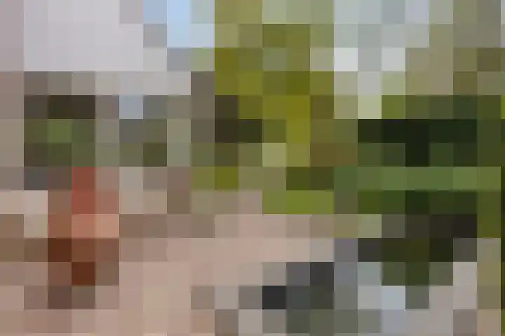 Grote Loef 7 Malden thumbnail 37