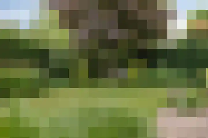 Grote Loef 7 Malden thumbnail 38