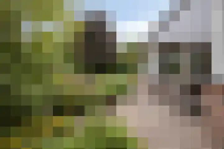 Grote Loef 7 Malden thumbnail 41