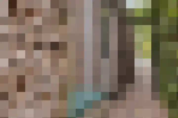 Grote Loef 7 Malden thumbnail 43