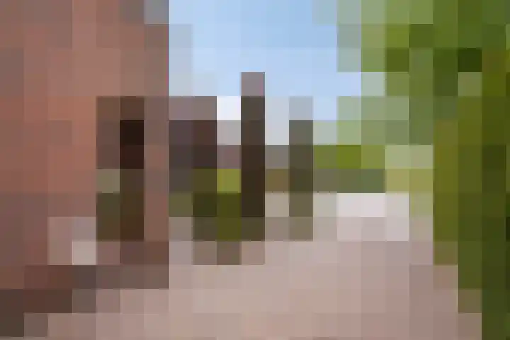 Grote Loef 7 Malden thumbnail 44
