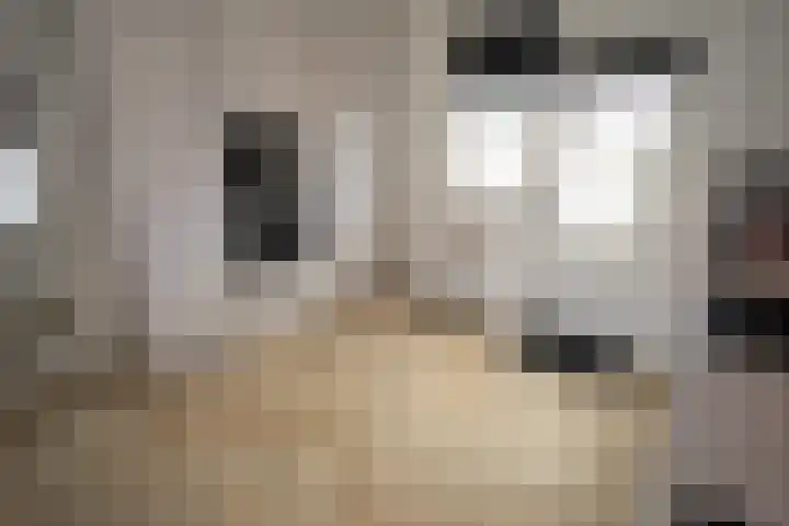 Grote Maatweg 21 Wierden thumbnail 19