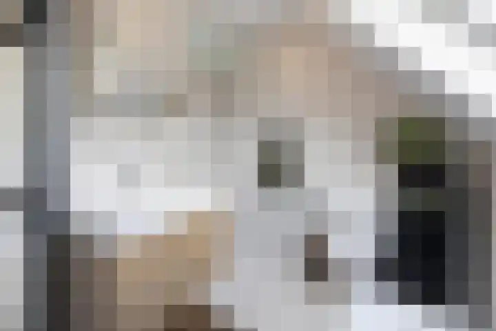 Grote Maatweg 21 Wierden thumbnail 31
