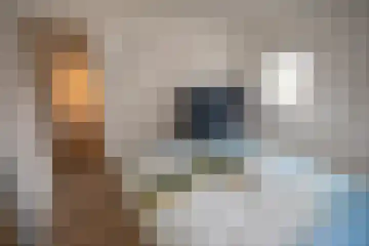 Grote Maatweg 21 Wierden thumbnail 33