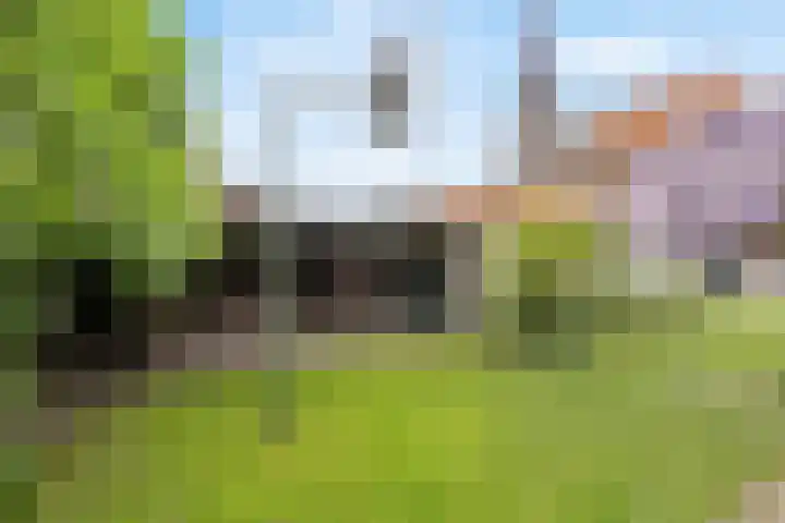 Grote Maatweg 21 Wierden thumbnail 38
