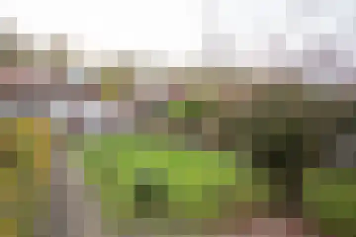 Grote Maatweg 21 Wierden thumbnail 44