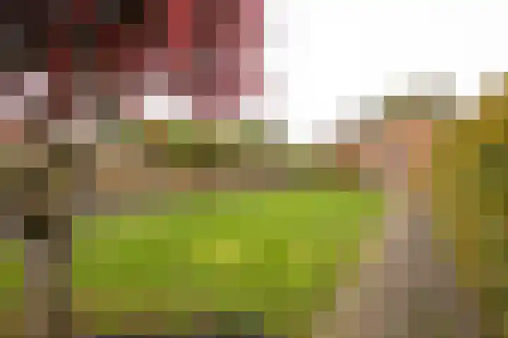 Grote Maatweg 21 Wierden thumbnail 45