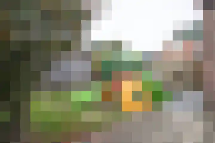 Grote Maatweg 21 Wierden thumbnail 47