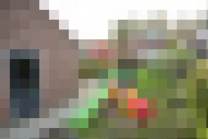 Grote Maatweg 21 Wierden thumbnail 48