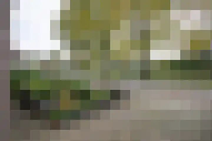 Grote Maatweg 21 Wierden thumbnail 51