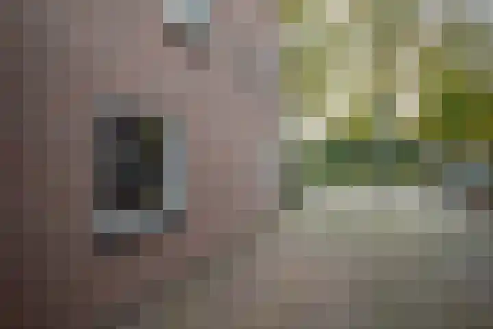 Grote Maatweg 21 Wierden thumbnail 52