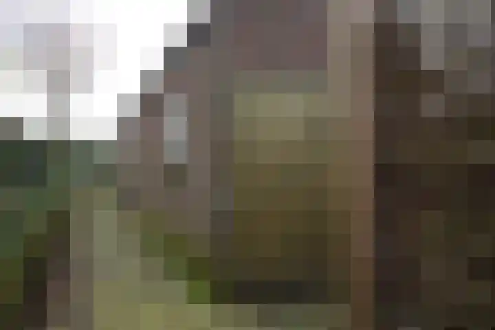 Grote Maatweg 21 Wierden thumbnail 53