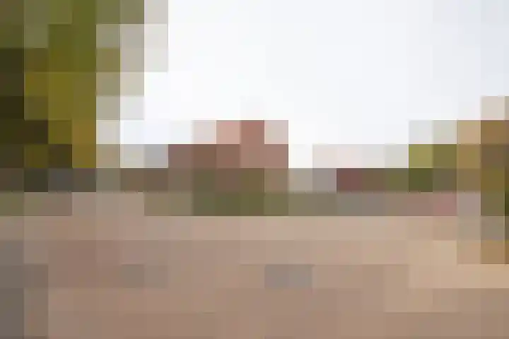 Grote Maatweg 21 Wierden thumbnail 55