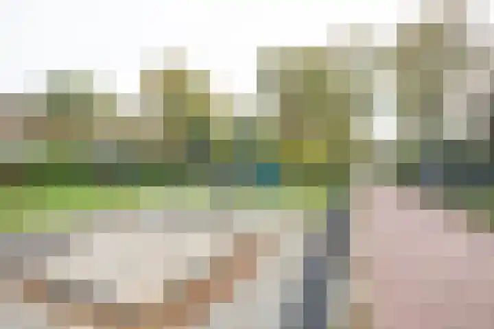 Grote Maatweg 21 Wierden thumbnail 56
