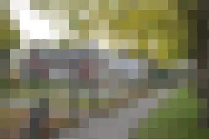 Grote Maatweg 21 Wierden thumbnail 57