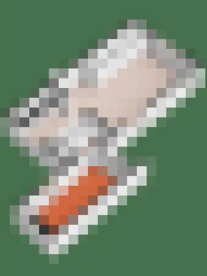 Grote Maatweg 21 Wierden thumbnail 59