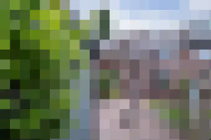 Grote Maatweg 21 Wierden thumbnail 65