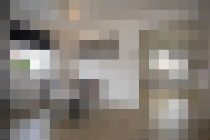 Grote Maatweg 21 Wierden thumbnail 9