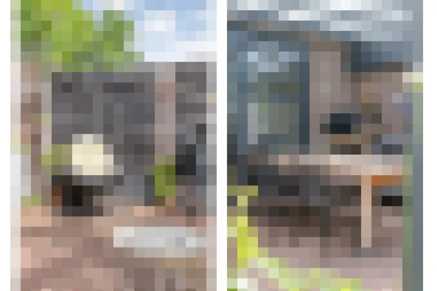 Grote Maatweg 79 Wierden thumbnail 38