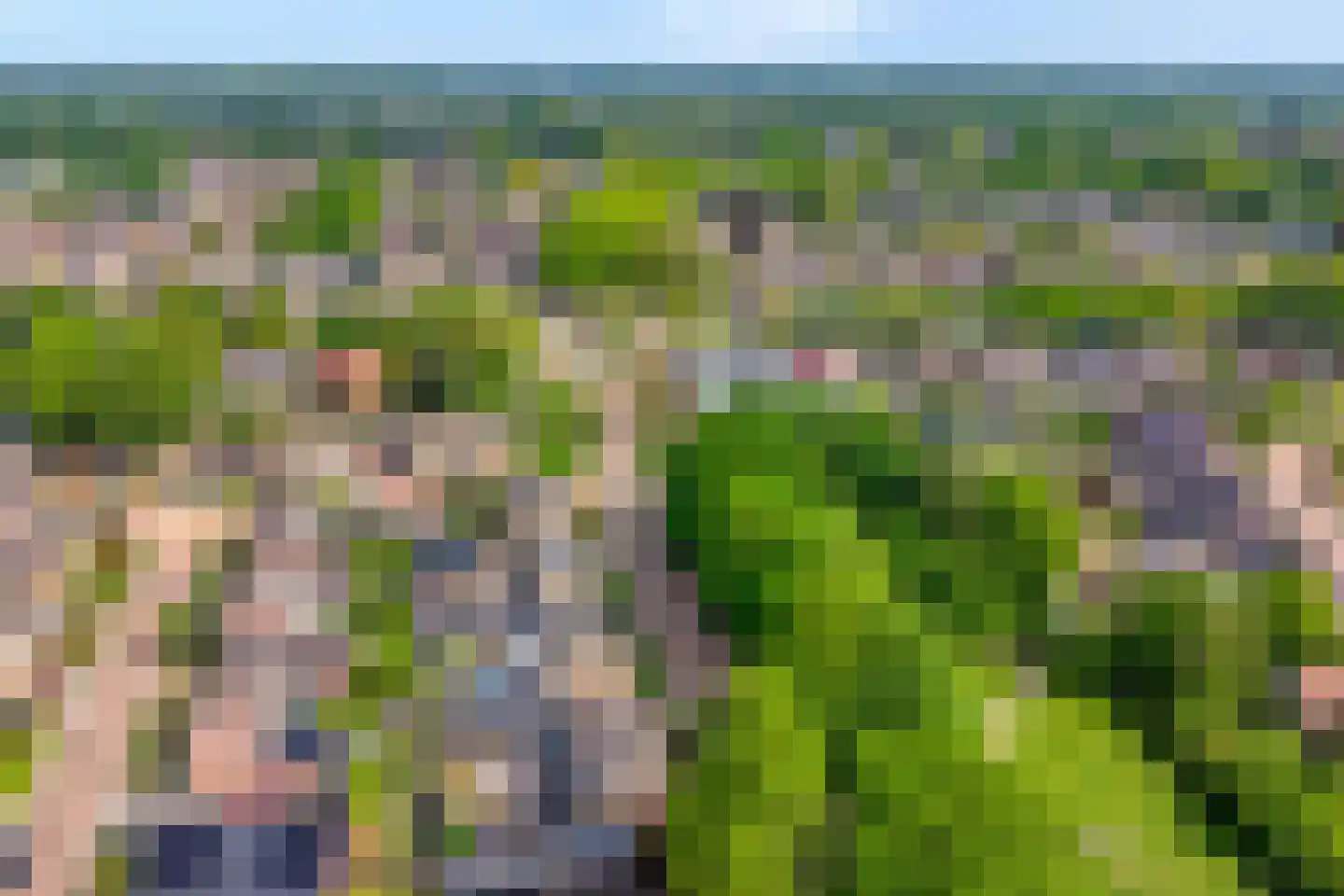 Grote Maatweg 79 Wierden thumbnail 40