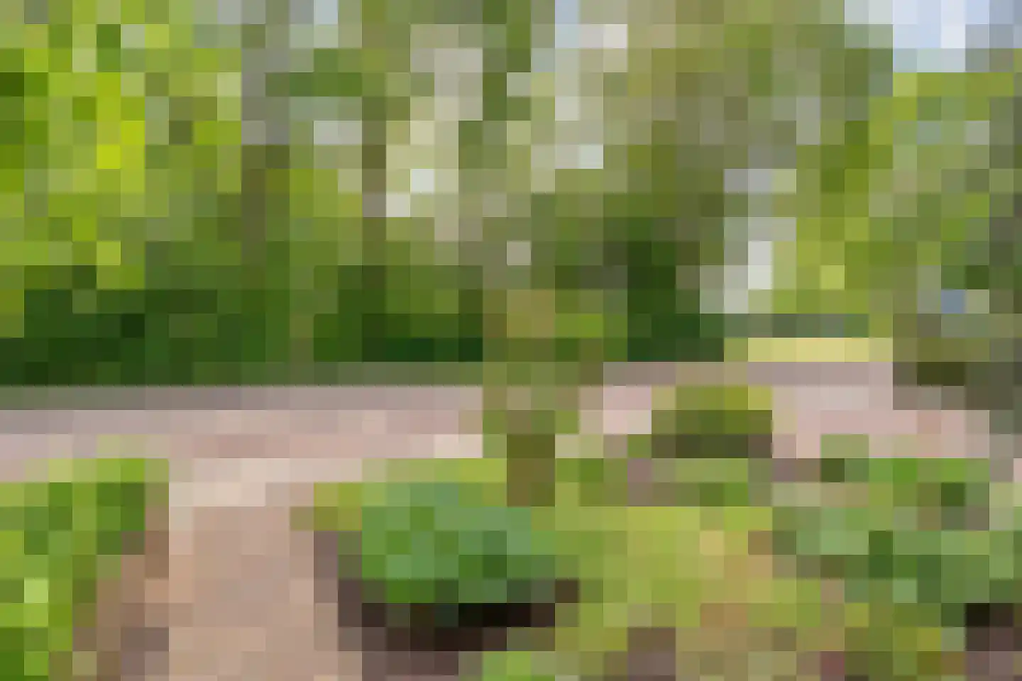 Grote Maatweg 79 Wierden thumbnail 45