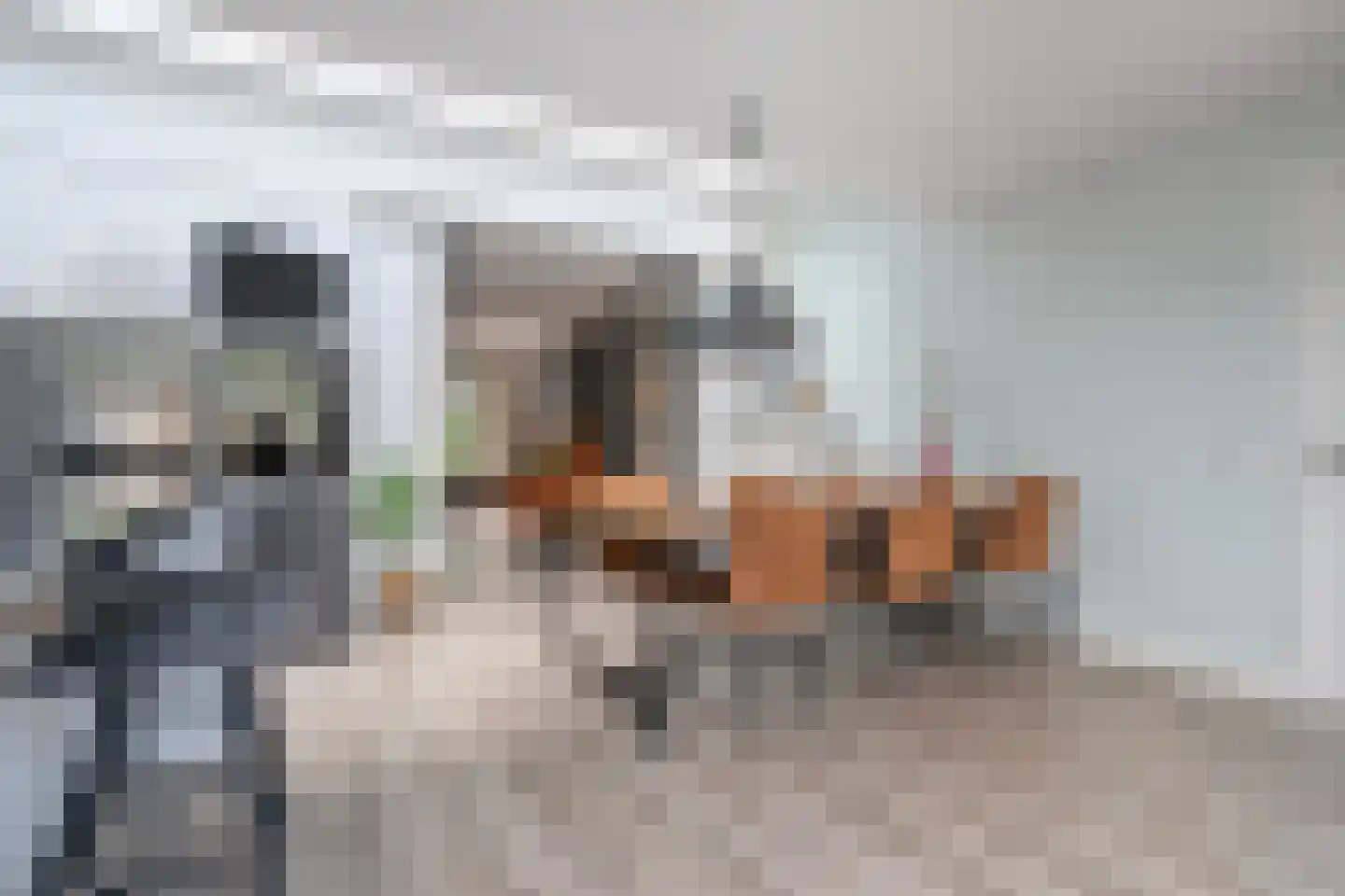 Grote Maatweg 79 Wierden thumbnail 9