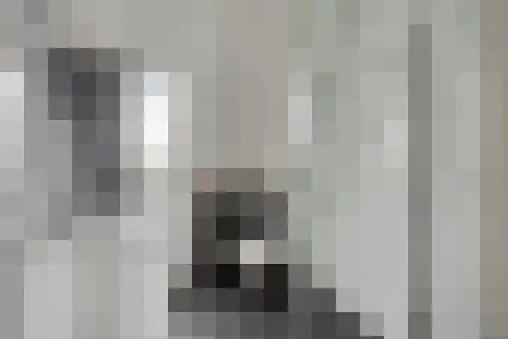 Grote Maote 12 Aalten thumbnail 18