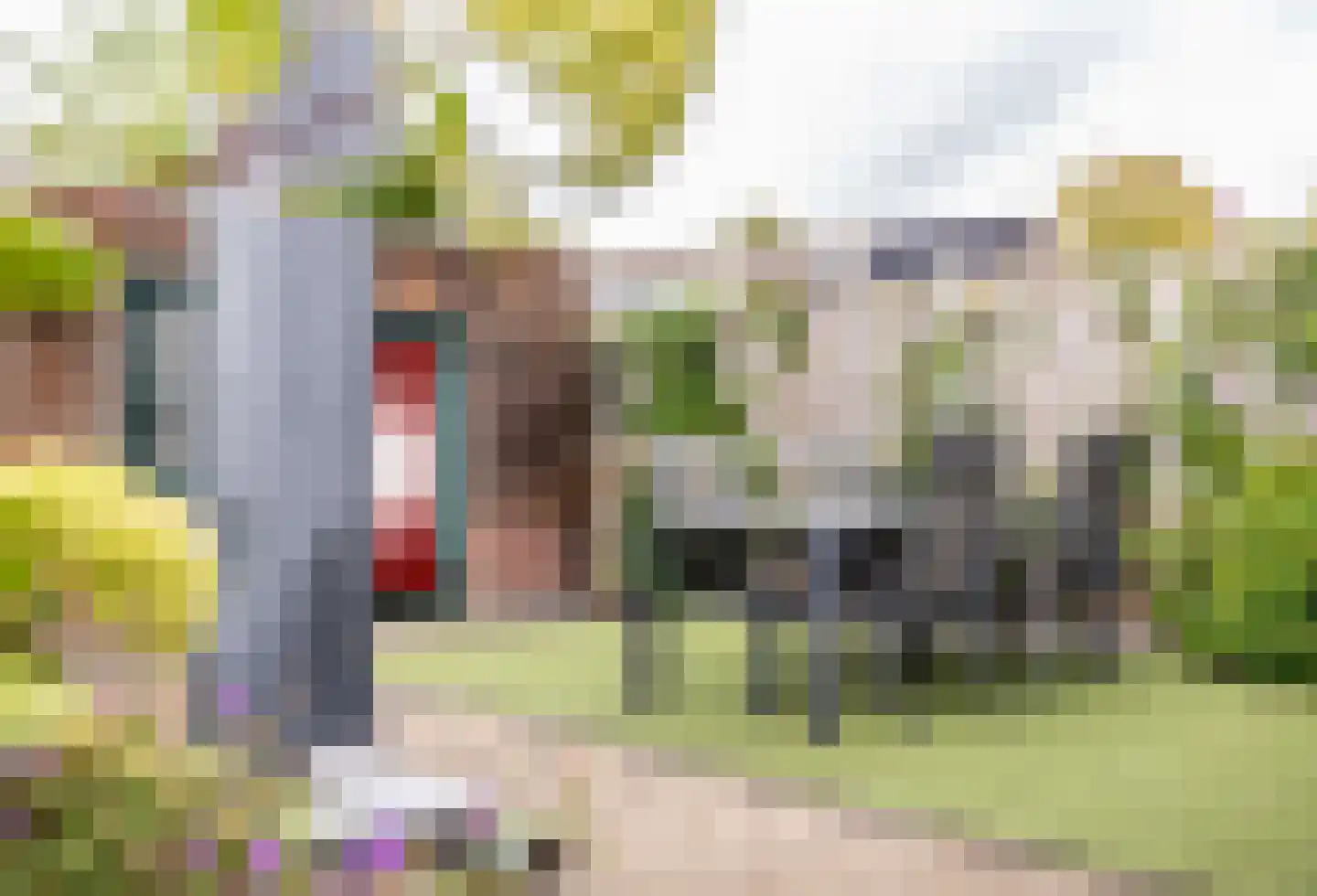 Grote Maote 128 Aalten thumbnail 21