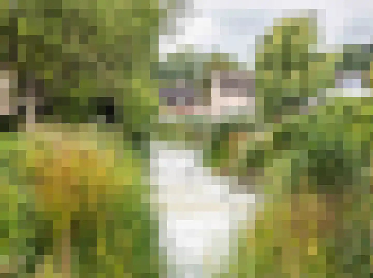Grote Maote 128 Aalten thumbnail 25