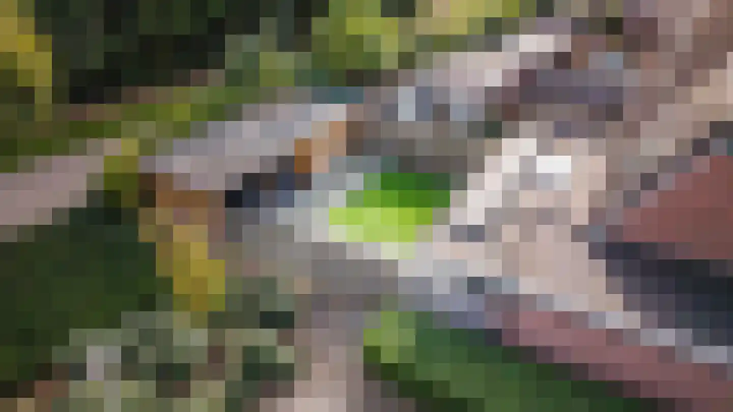 Grote Maote 16 Aalten thumbnail 22