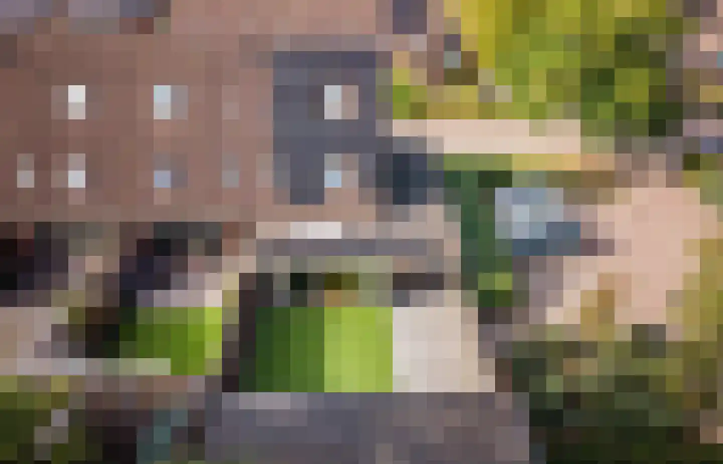 Grote Maote 16 Aalten thumbnail 23