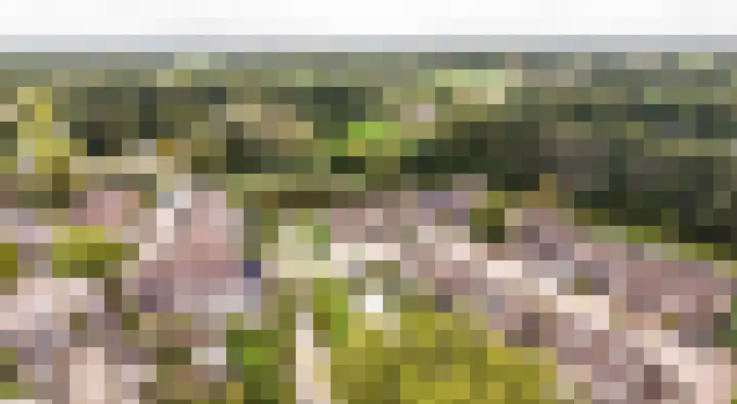 Grote Maote 16 Aalten thumbnail 25