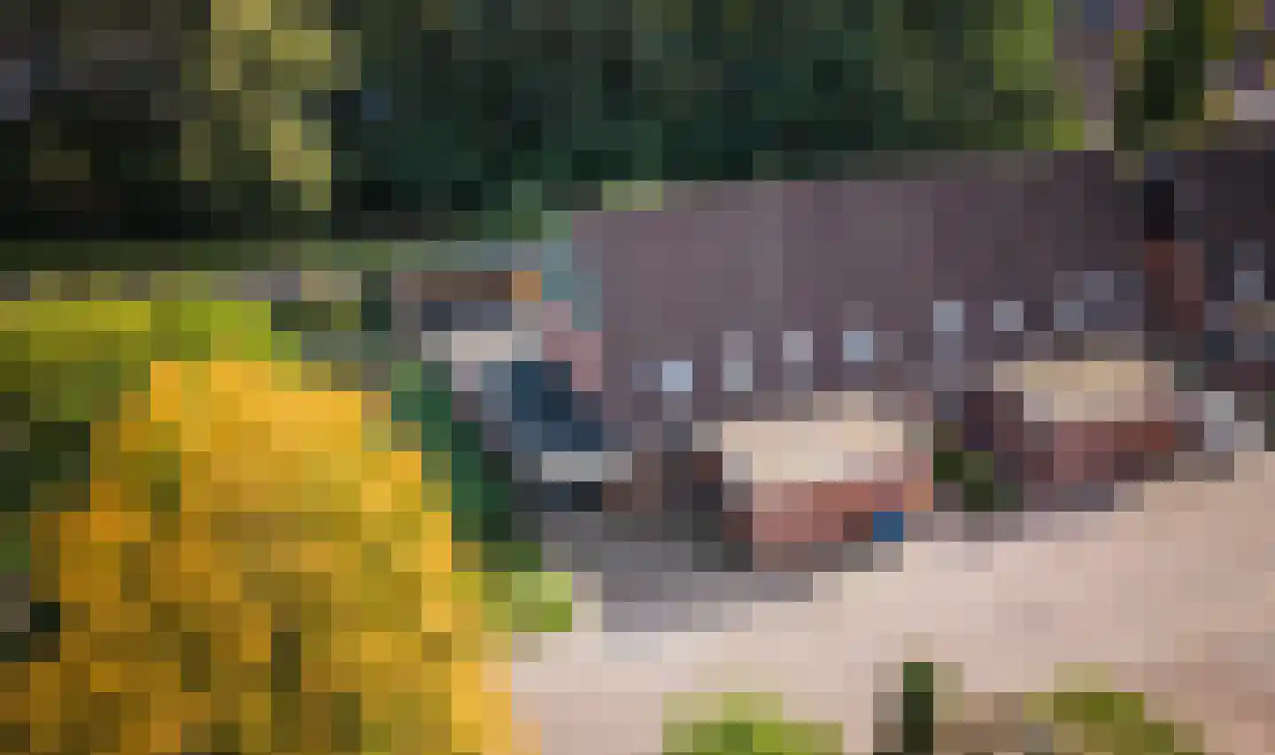 Grote Maote 16 Aalten thumbnail 26