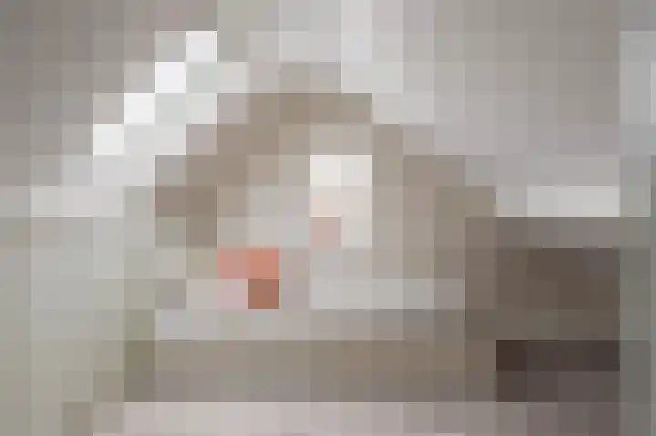 Grote Maote 24 Aalten thumbnail 11