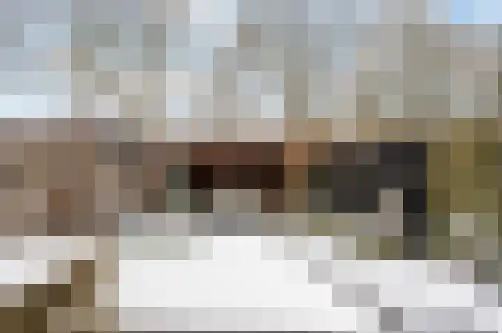 Grote Maote 24 Aalten thumbnail 20