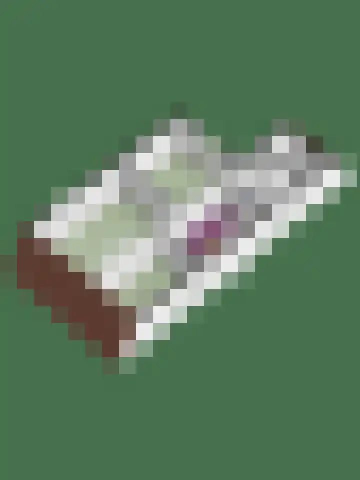 Grote Maote 24 Aalten thumbnail 28