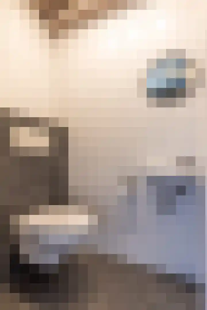 Grote Maote 41 Aalten thumbnail 10