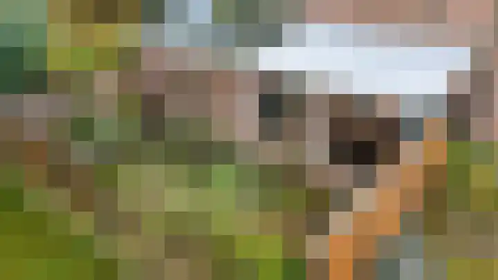 Grote Maote 41 Aalten thumbnail 17