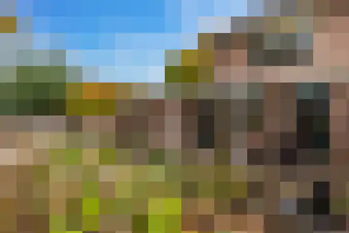 Grote Maote 41 Aalten thumbnail 19