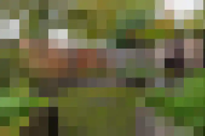 Grote Maote 41 Aalten thumbnail 20