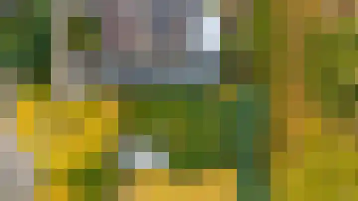 Grote Maote 41 Aalten thumbnail 21