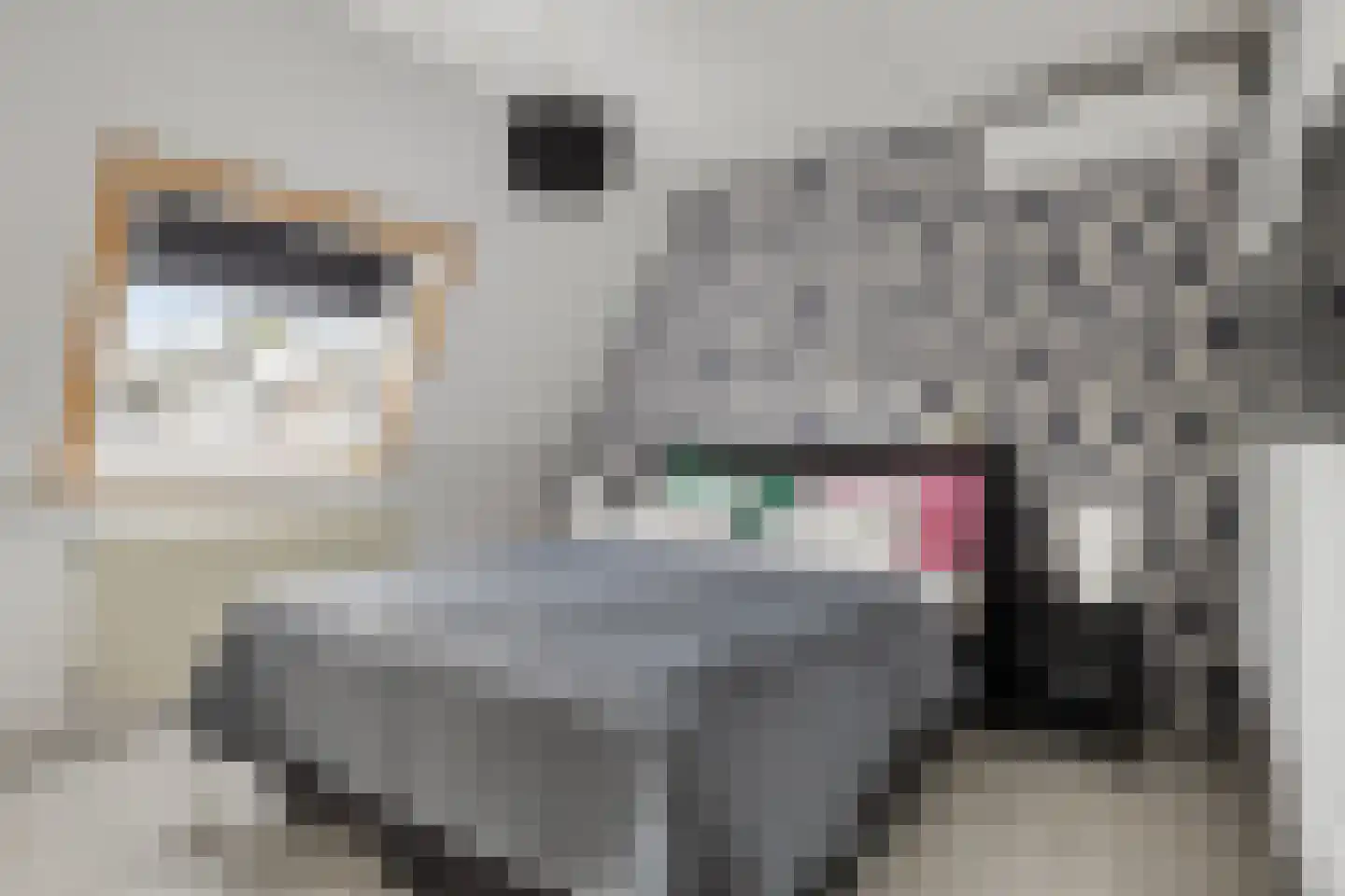 Grote Maote 5 Aalten thumbnail 14