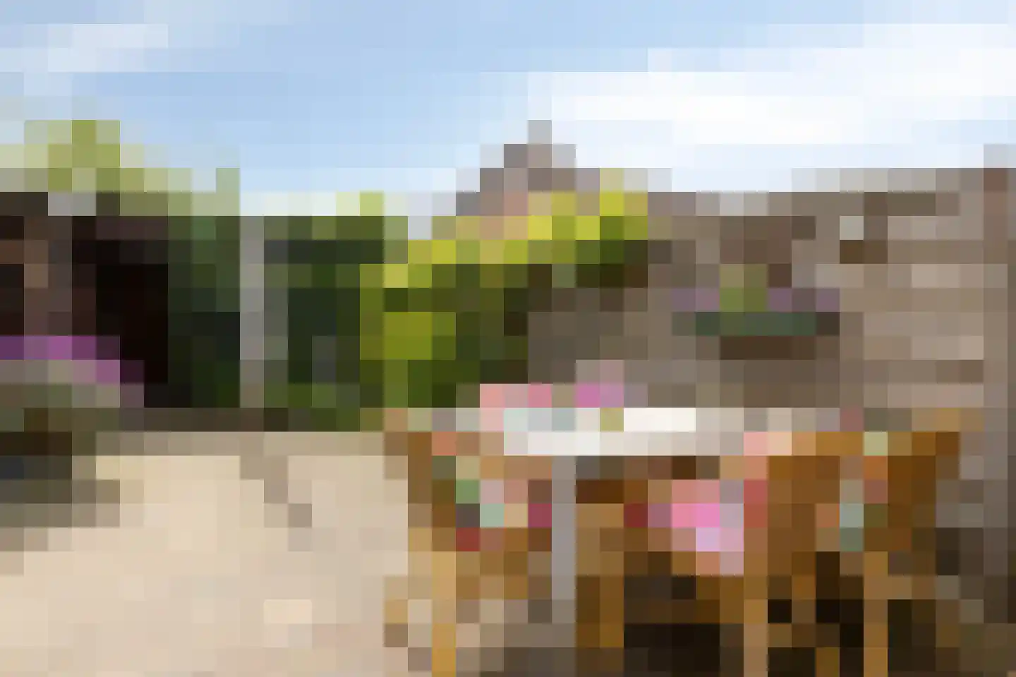 Grote Maote 5 Aalten thumbnail 28
